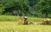 Aloha Vietnam Travel Company Limited6