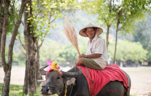 Aloha Vietnam Travel Company Limited10