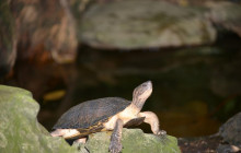 Aloha Vietnam Travel Company Limited11