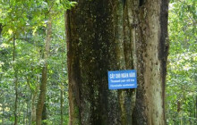 Aloha Vietnam Travel Company Limited12