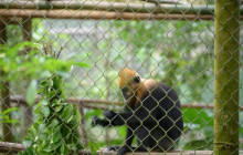 Aloha Vietnam Travel Company Limited15