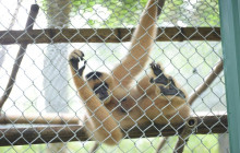 Aloha Vietnam Travel Company Limited13