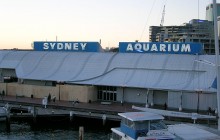 Sea Life Aquarium Sydney