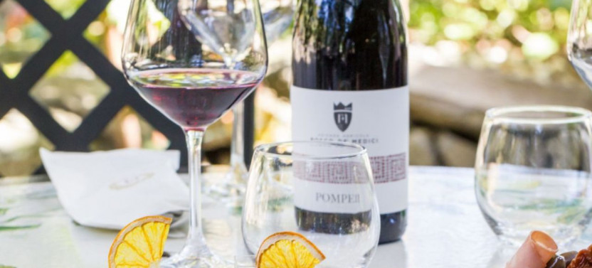 Rome to Pompeii Tour with Wine and Lunch by High-Speed Train