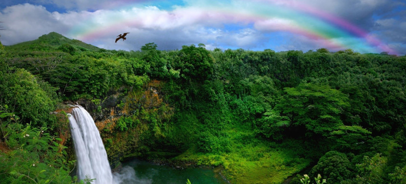 One-Day Kauai: Hawaii Movie Small Group Tour