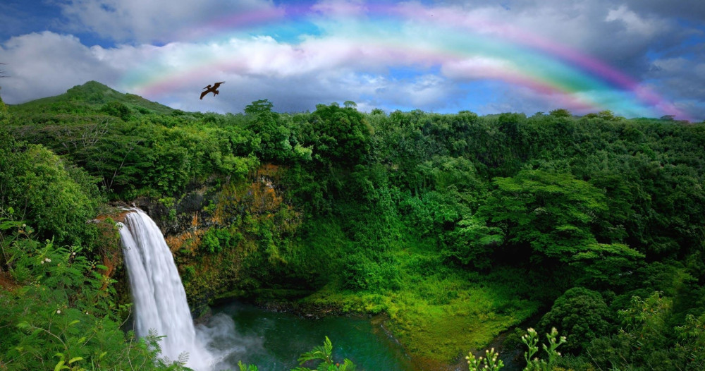 One-Day Kauai Tour: Hawaii Movie Tours