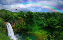 Roberts Hawaii1