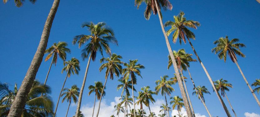 One-Day Kauai: Hawaii Movie Small Group Tour