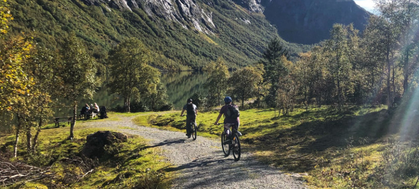 Private Spectacular Bike Trip over Flofjellet