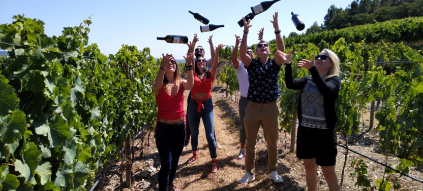 Small Group Douro Valley Tour w. 3-Course Lunch, Wine Tastings & 1hr Cruise