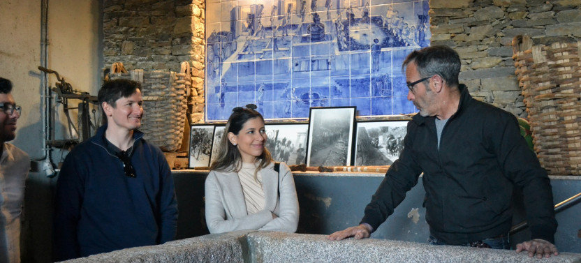 Small Group Douro Valley Tour w. 3-Course Lunch, Wine Tastings & 1hr Cruise