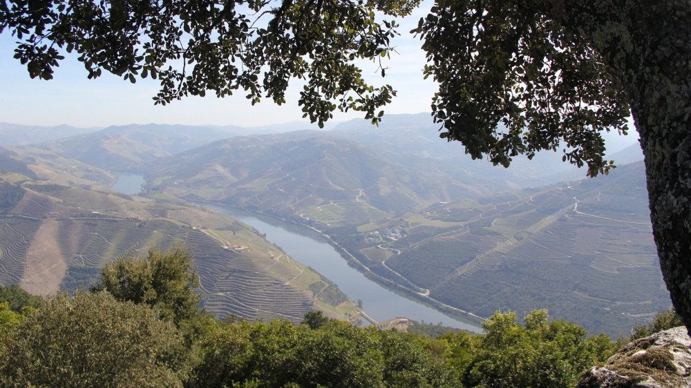 Private Douro Valley Tour From Porto