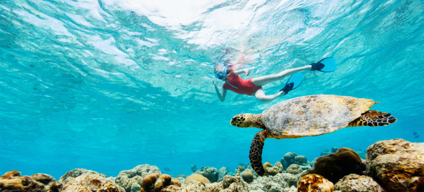 Private Tour: Custom Island Tour of Oahu