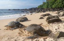 Hawaii Pacific Adventures10