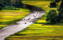 VN Bike Tour - Vietnam14