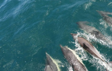 Naturanda Turismo Ambiental S.L.2
