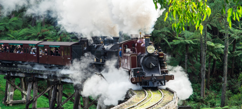 Puffing Billy And Phillip Island Penguin Parade Bus Tour
