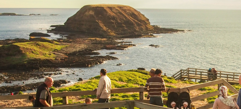 Puffing Billy And Phillip Island Penguin Parade Bus Tour