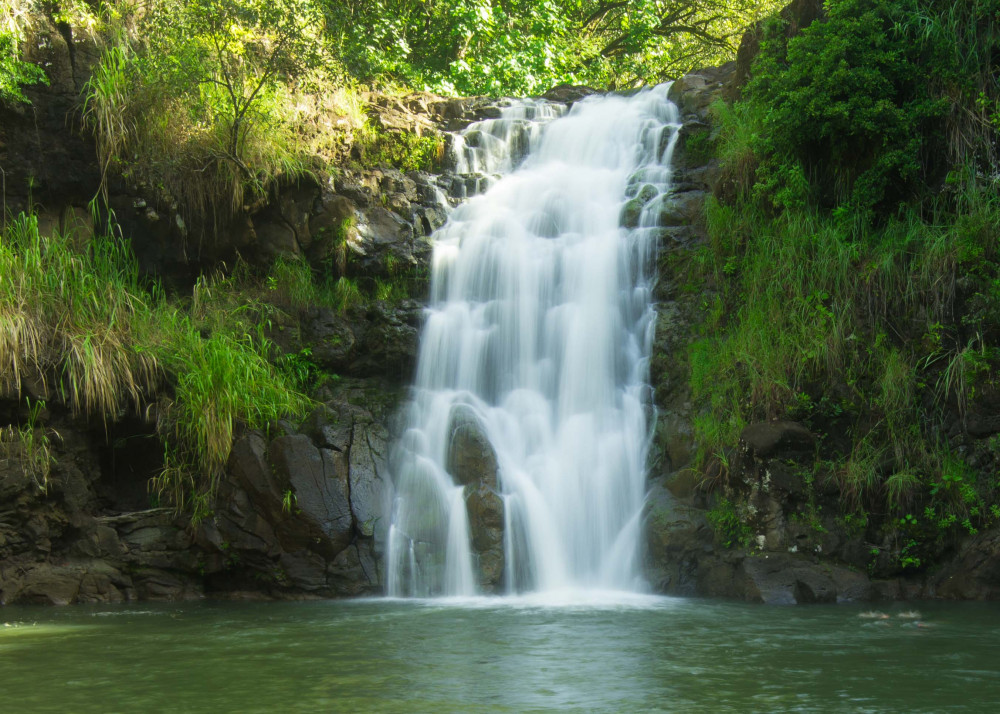 Complete Island Adventure With Waterfall