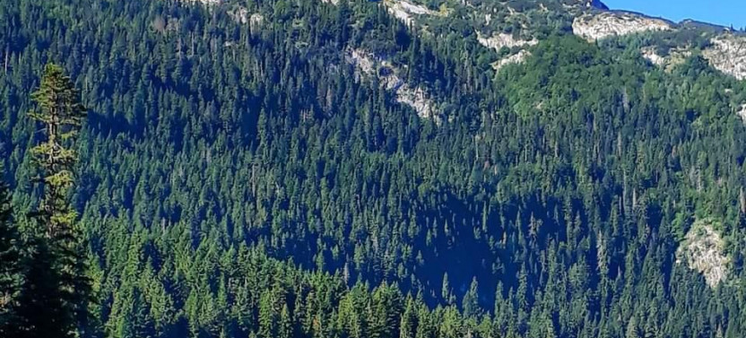 Durmitor National Park Hiking Tour: Black Lake & Hidden Glacial Lakes