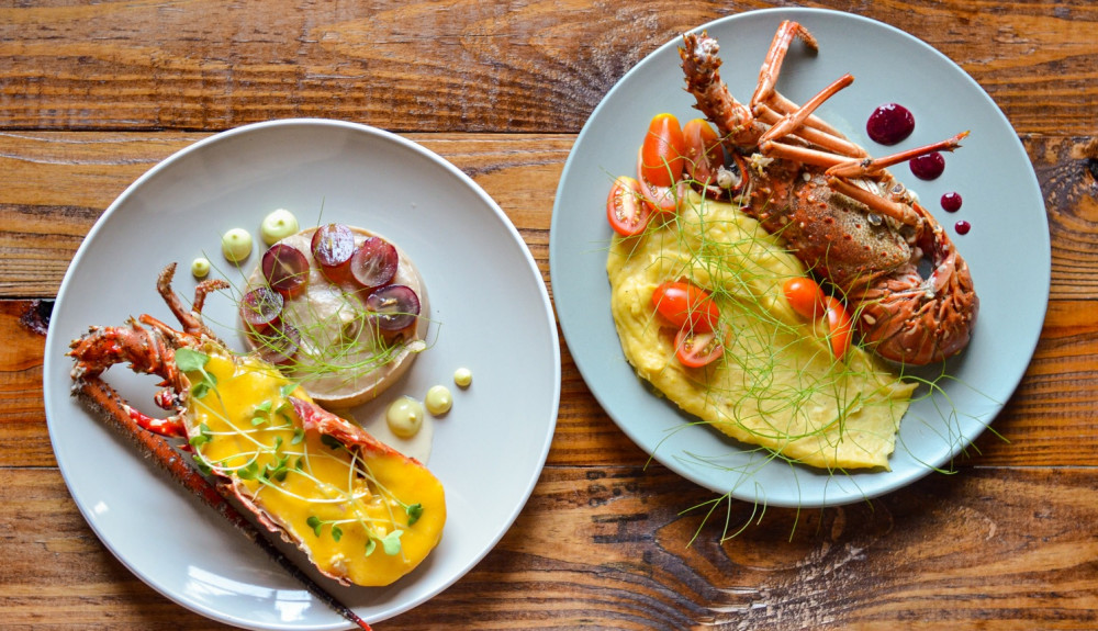 Caribbean Lobster Class Punta Cana Project Expedition