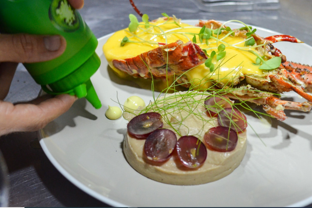 Caribbean Lobster Class Punta Cana Project Expedition