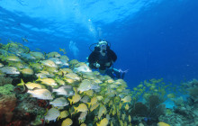 A' HA' Scuba Diving5