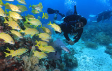 A' HA' Scuba Diving2