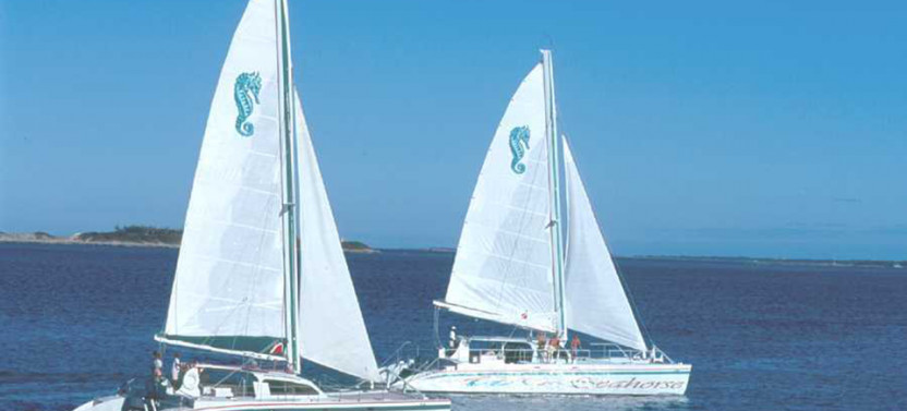 Sailing and Snorkeling Adventure on a Catamaran
