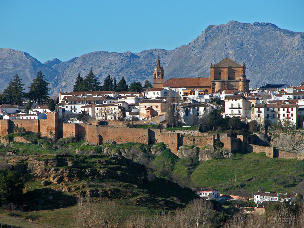 Private Transfer To Malaga & Ronda from Granada (or Reverse)