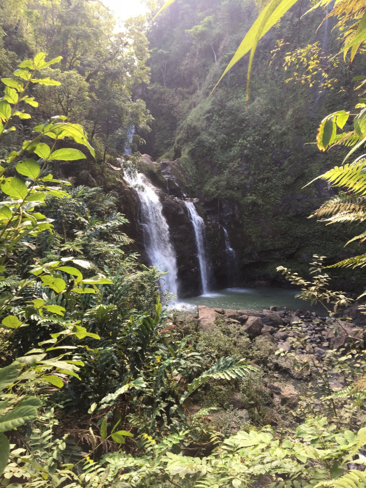 hawaii by storm tours