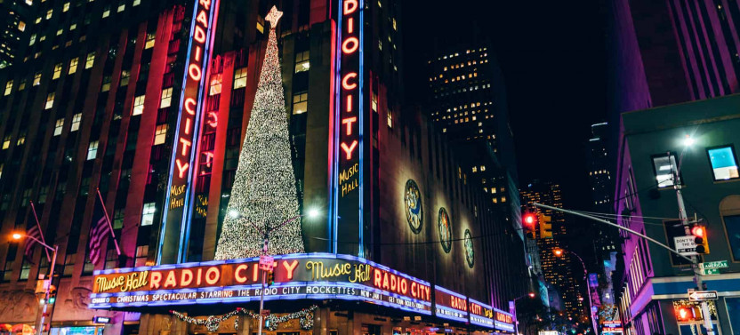 Home Alone 2: Christmas in New York Private Tour