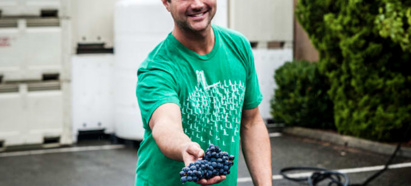90 Day Pass: Artisan Hill Wineries- Included Tastings at Top Wineries