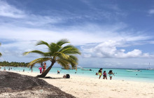 Full Day Saona Island Excursion on Speed Boat or Catamaran with Lunch