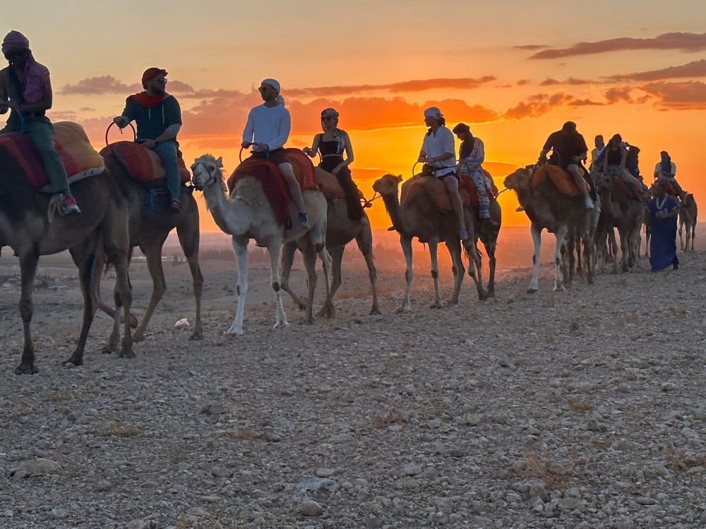 Marrakech: Agafay Desert Package, Quad, Camels, Dromedary & Dinner Show