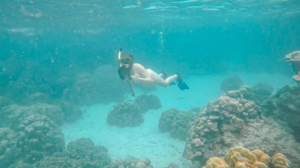 5 Star Marine Co. Ltd