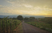 Etna Experience di Emilio Sciacca1