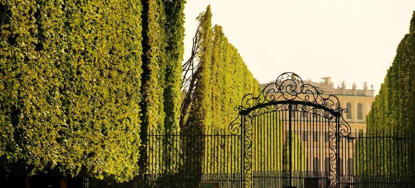 Private Schönbrunn Palace Tour: Entrance included