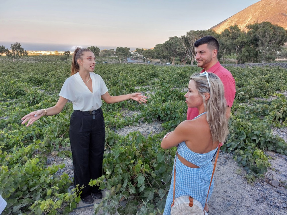 Private Santorini Cooking Class: Eat Like Local with Wine Tasting ...