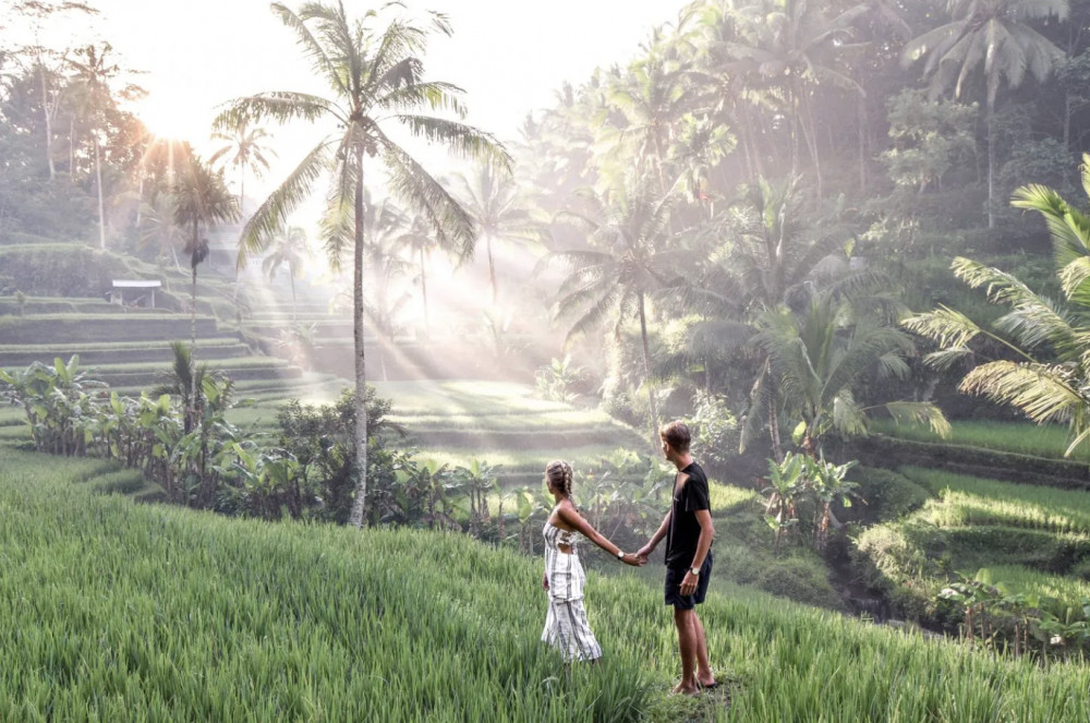 Private Ubud Rice Terrace Tour with Waterfall, Temple & Coffee Plantation