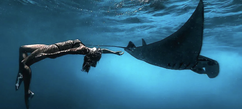 Semi-Private Nusa Penida Snorkeling with Manta Rays Adventure with Lunch