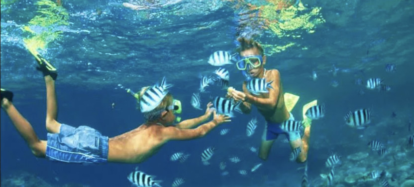 Private Snorkeling in Nusa Penida Tour with Lunch