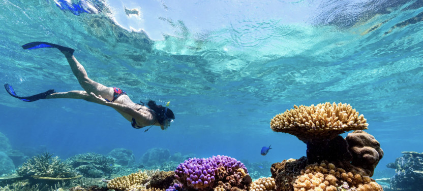 Private Snorkeling in Nusa Penida Tour with Lunch