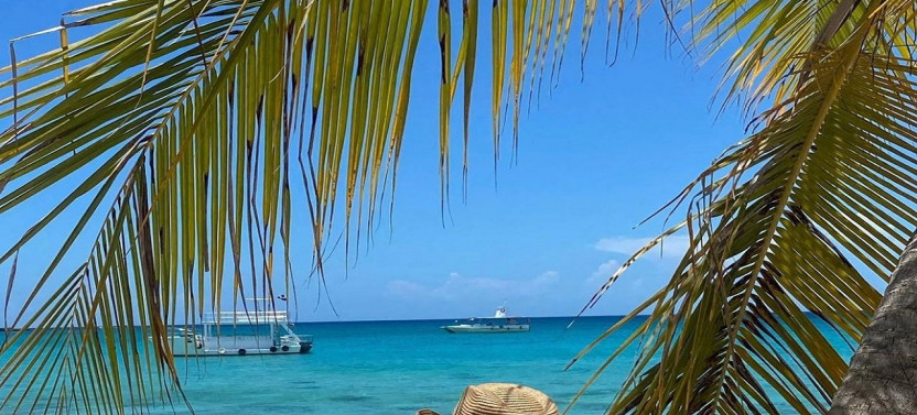 Full Day Boat Tour to Catalina Island with Snorkeling, Lunch, & More