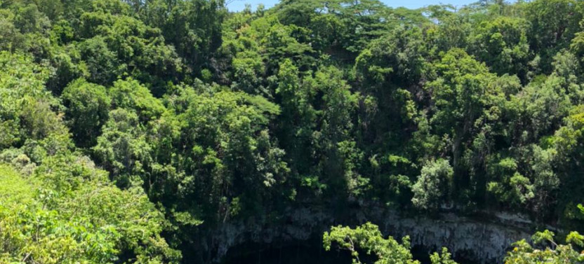 Full Day Santo Domingo City Tour with Lunch - Highlights and History