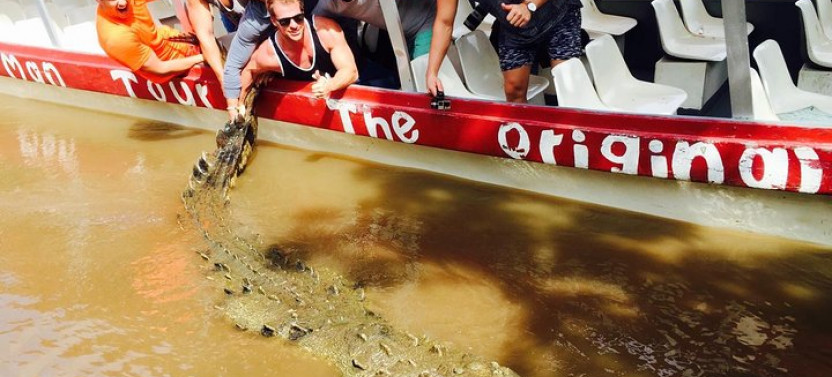 Puntarenas: 3-in-1 Mangrove Boat Tour, Macaws & Shopping