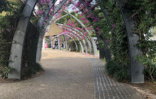 Project Expedition - Travel Agency4