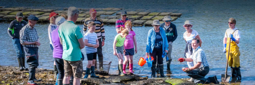 Small Group Oyster Farm Tour & Tasting - A Sea-to-Table Experience