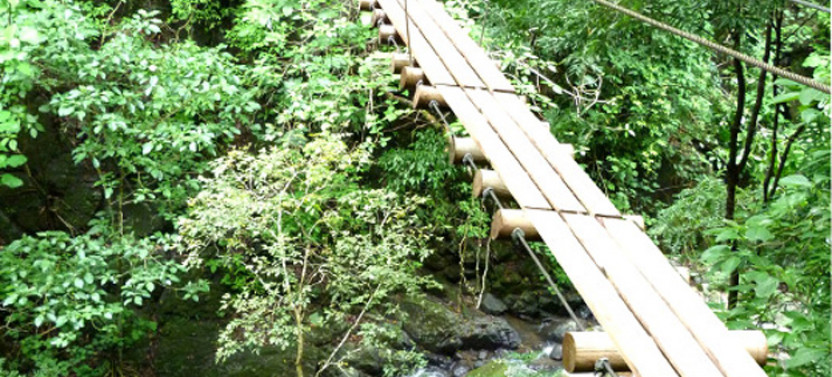 Puntarenas: 18-Zip-Line Adventure Over 11 Waterfalls