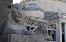 Napoli City Vision7